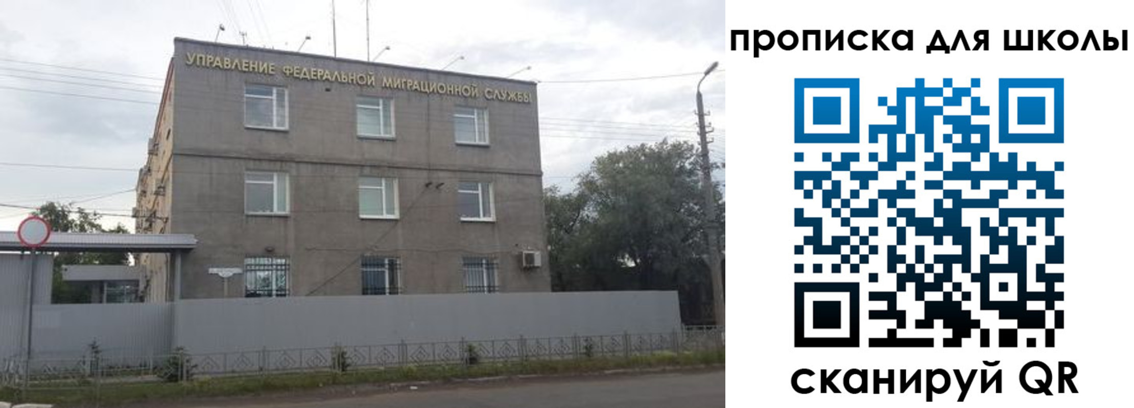 прописка законно в Осинниках
